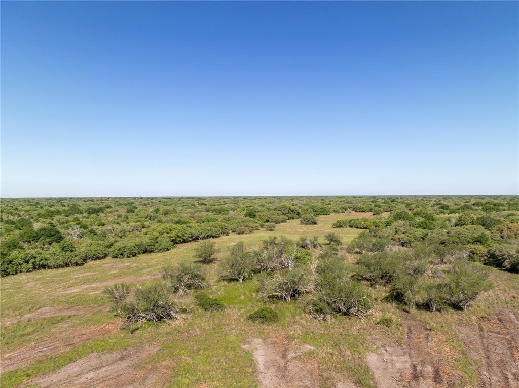 Nursery Road, Victoria, Texas image 33