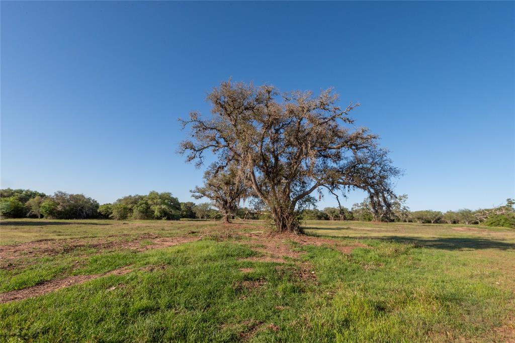 Nursery Road, Victoria, Texas image 30