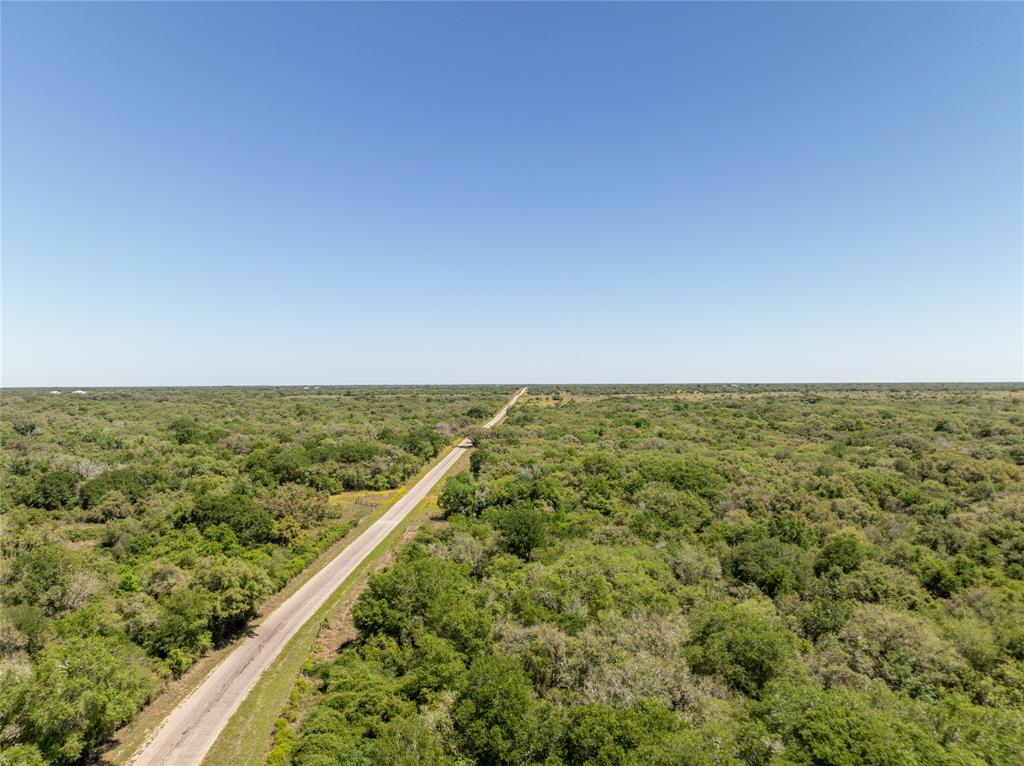 Nursery Road, Victoria, Texas image 11