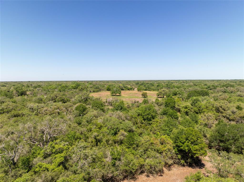 Nursery Road, Victoria, Texas image 22