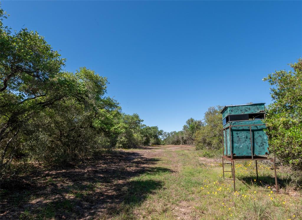 Nursery Road, Victoria, Texas image 24