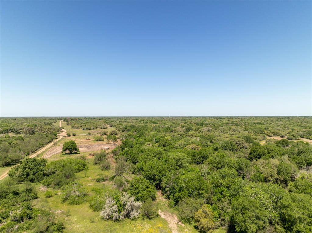 Nursery Road, Victoria, Texas image 10