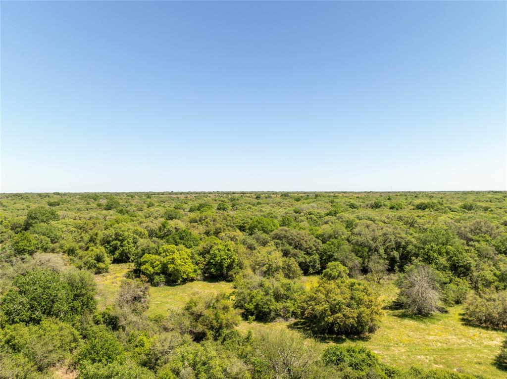 Nursery Road, Victoria, Texas image 12