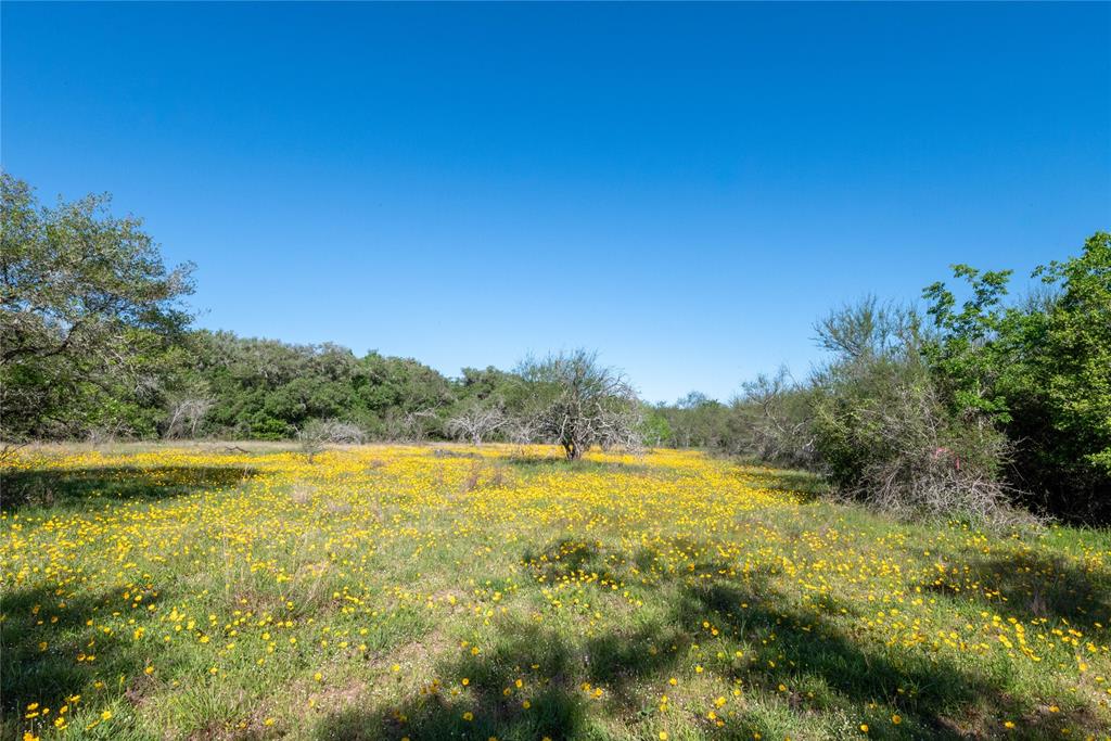 Nursery Road, Victoria, Texas image 32