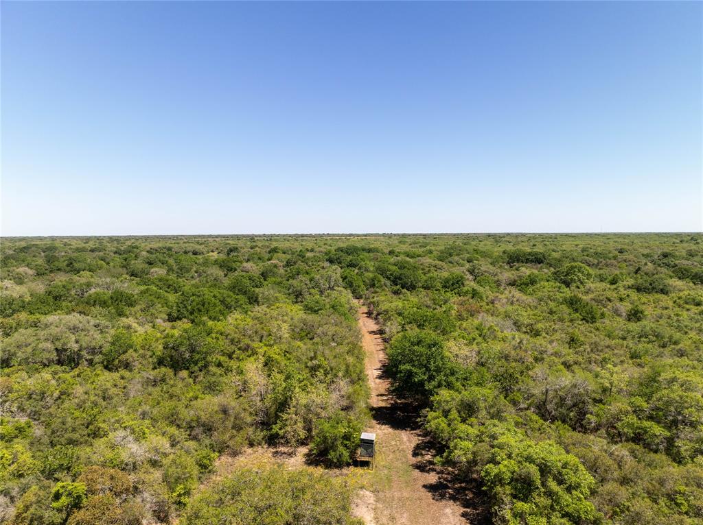 Nursery Road, Victoria, Texas image 21