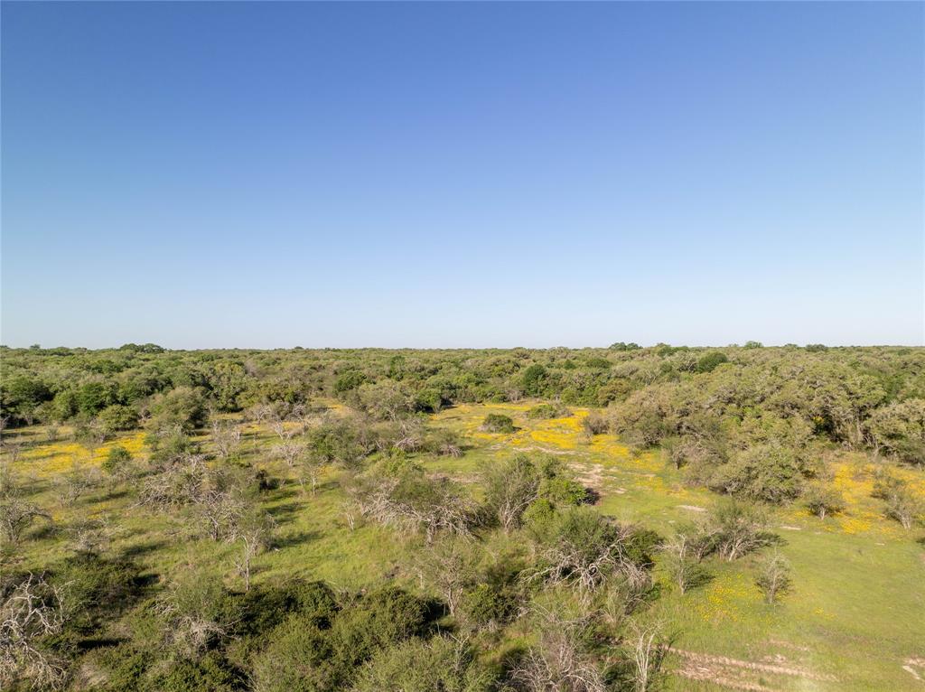 Nursery Road, Victoria, Texas image 26