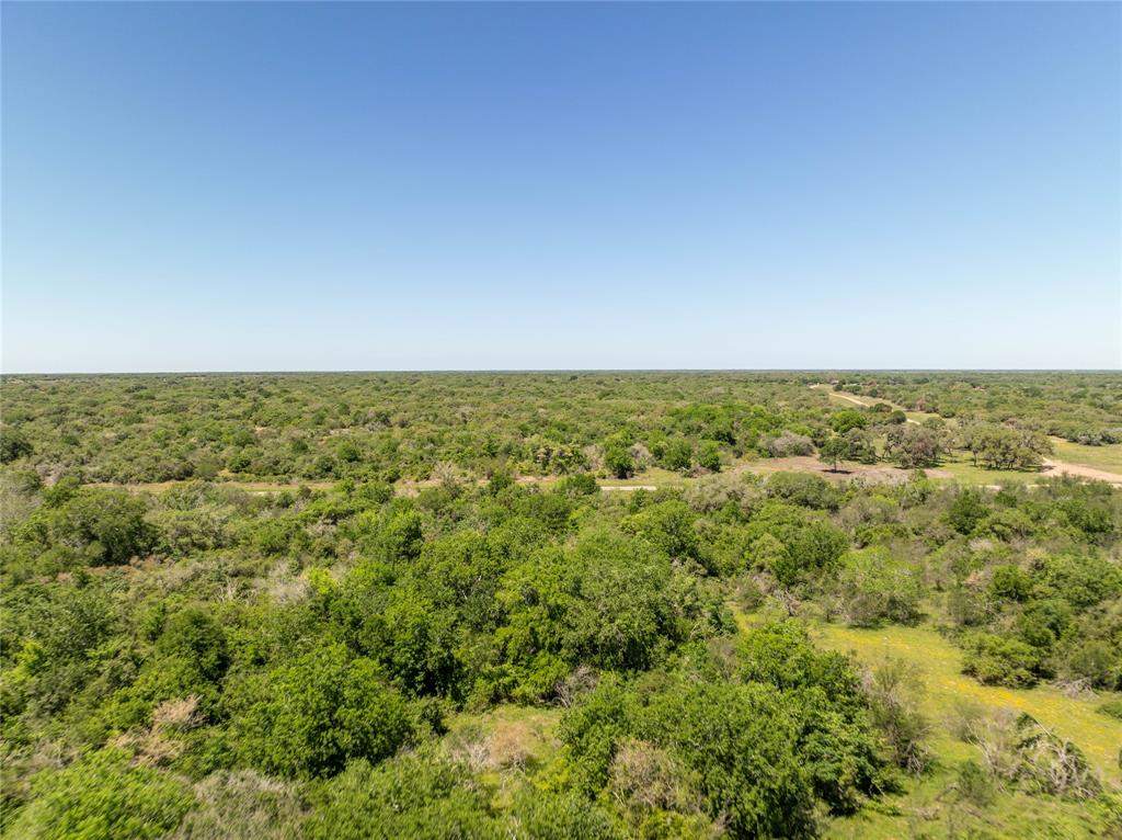 Nursery Road, Victoria, Texas image 19