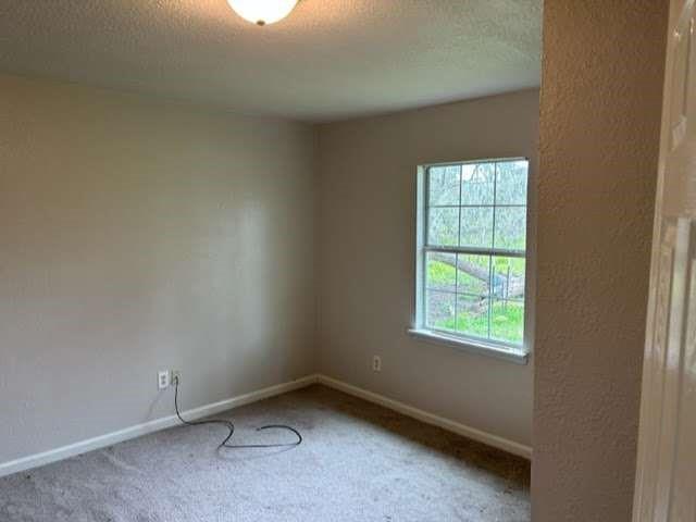 5096 Buck Road, Brazoria, Texas image 7