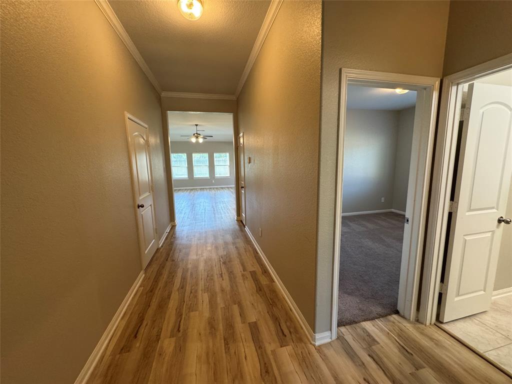 15064 Meadow Glen, Conroe, Texas image 2