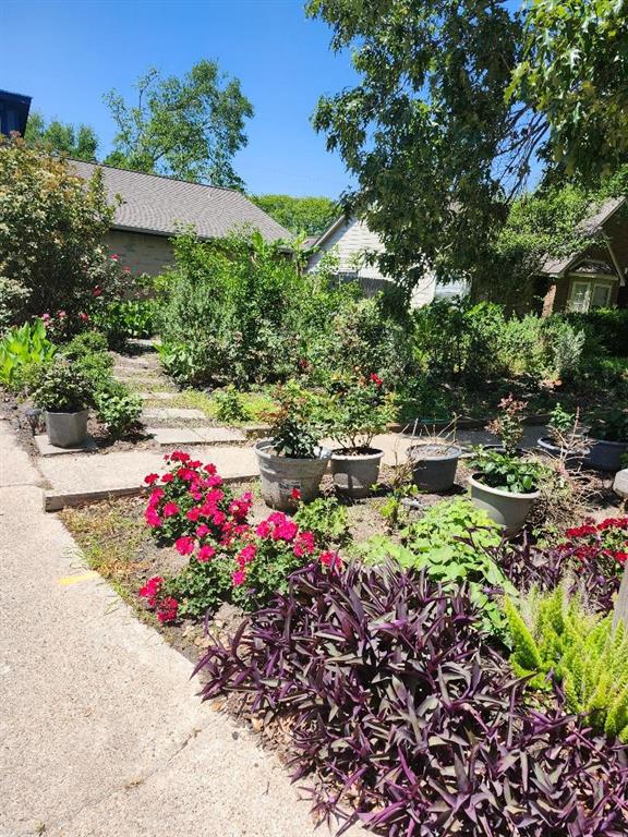 4522 Albatross Drive, Seabrook, Texas image 13