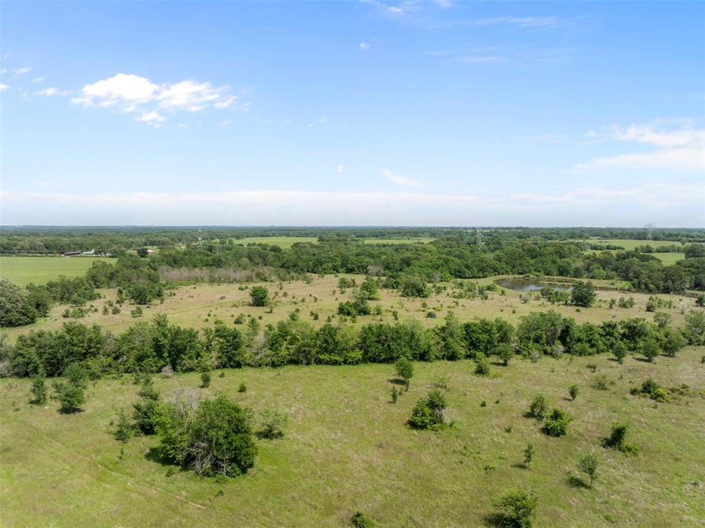 +/- 200 AC Dawkins Road, Normangee, Texas image 17