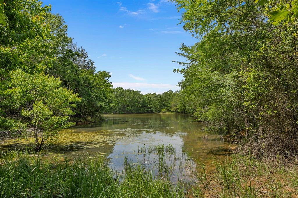 +/- 200 AC Dawkins Road, Normangee, Texas image 11