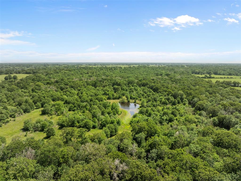 +/- 200 AC Dawkins Road, Normangee, Texas image 21