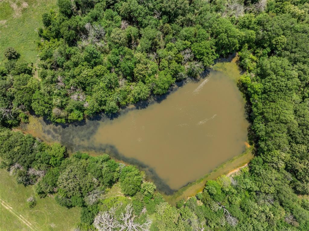 +/- 200 AC Dawkins Road, Normangee, Texas image 19
