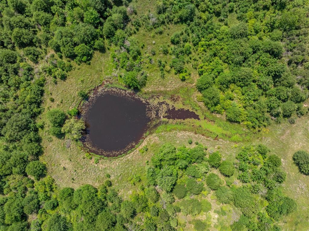 +/- 200 AC Dawkins Road, Normangee, Texas image 20