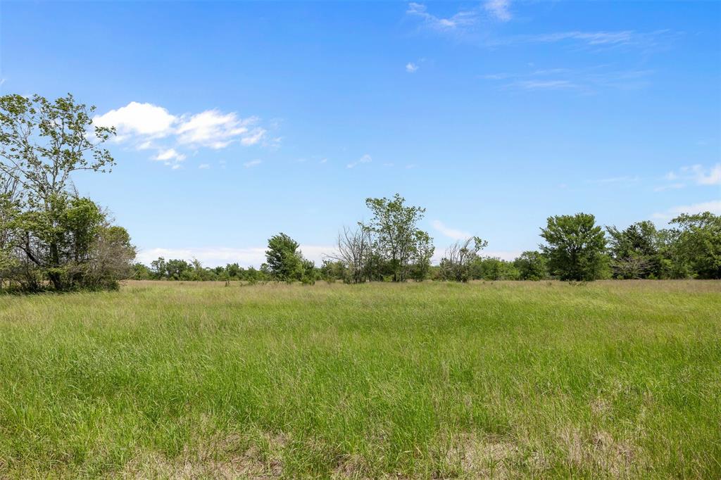 +/- 200 AC Dawkins Road, Normangee, Texas image 9