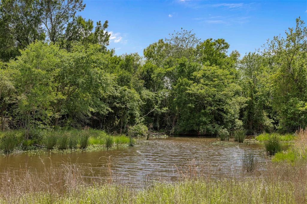 +/- 200 AC Dawkins Road, Normangee, Texas image 10