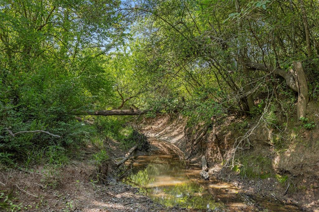 +/- 200 AC Dawkins Road, Normangee, Texas image 16