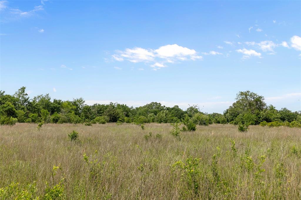 +/- 200 AC Dawkins Road, Normangee, Texas image 13