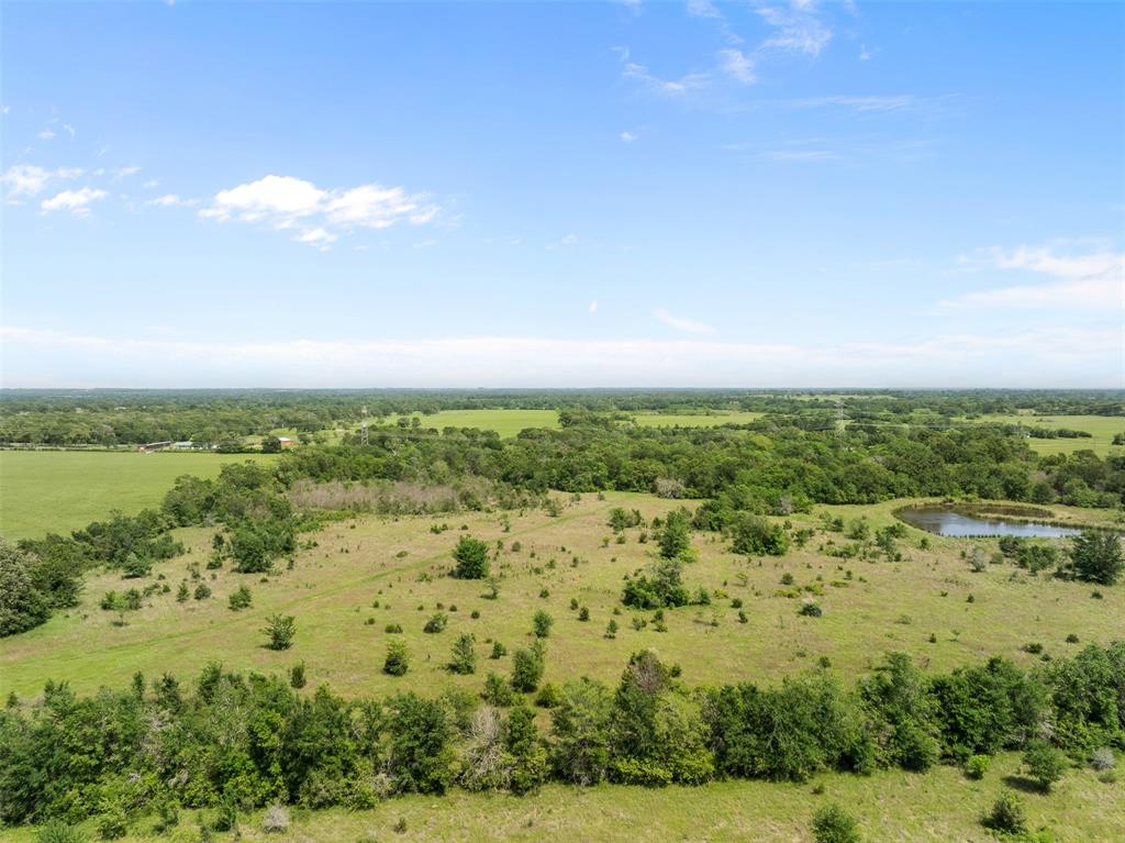 +/- 200 AC Dawkins Road, Normangee, Texas image 23