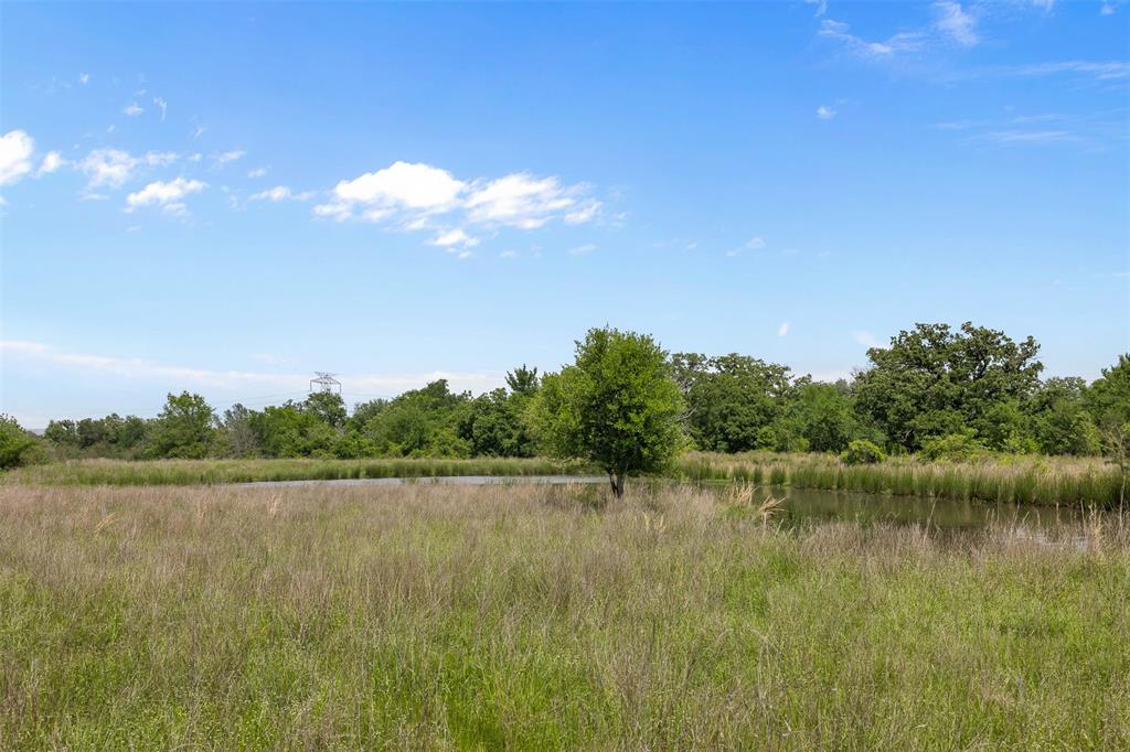 +/- 200 AC Dawkins Road, Normangee, Texas image 14