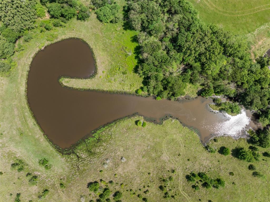 +/- 200 AC Dawkins Road, Normangee, Texas image 18