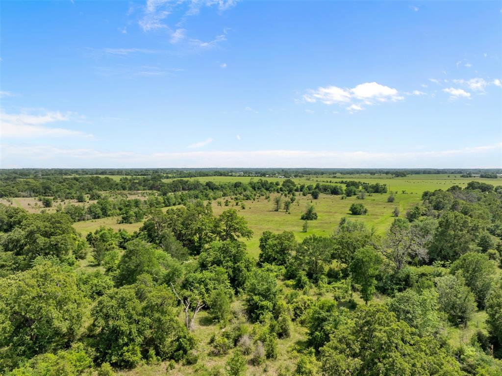 +/- 200 AC Dawkins Road, Normangee, Texas image 22