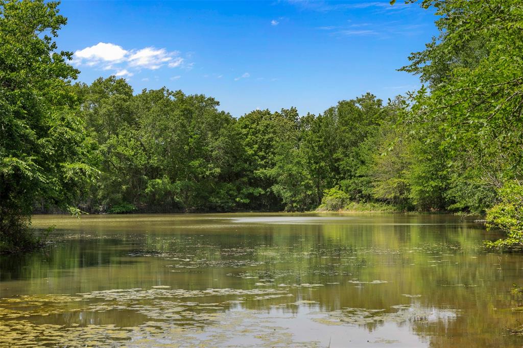 +/- 200 AC Dawkins Road, Normangee, Texas image 12