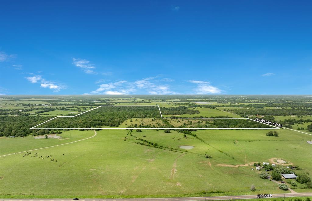 +/- 200 AC Dawkins Road, Normangee, Texas image 1