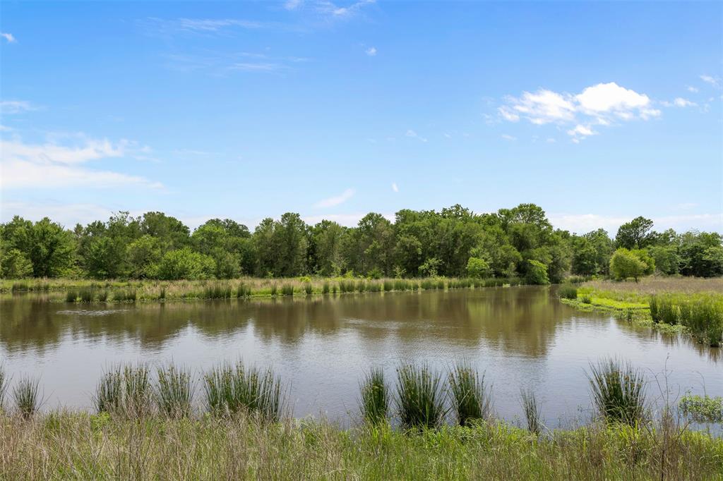 +/- 200 AC Dawkins Road, Normangee, Texas image 8