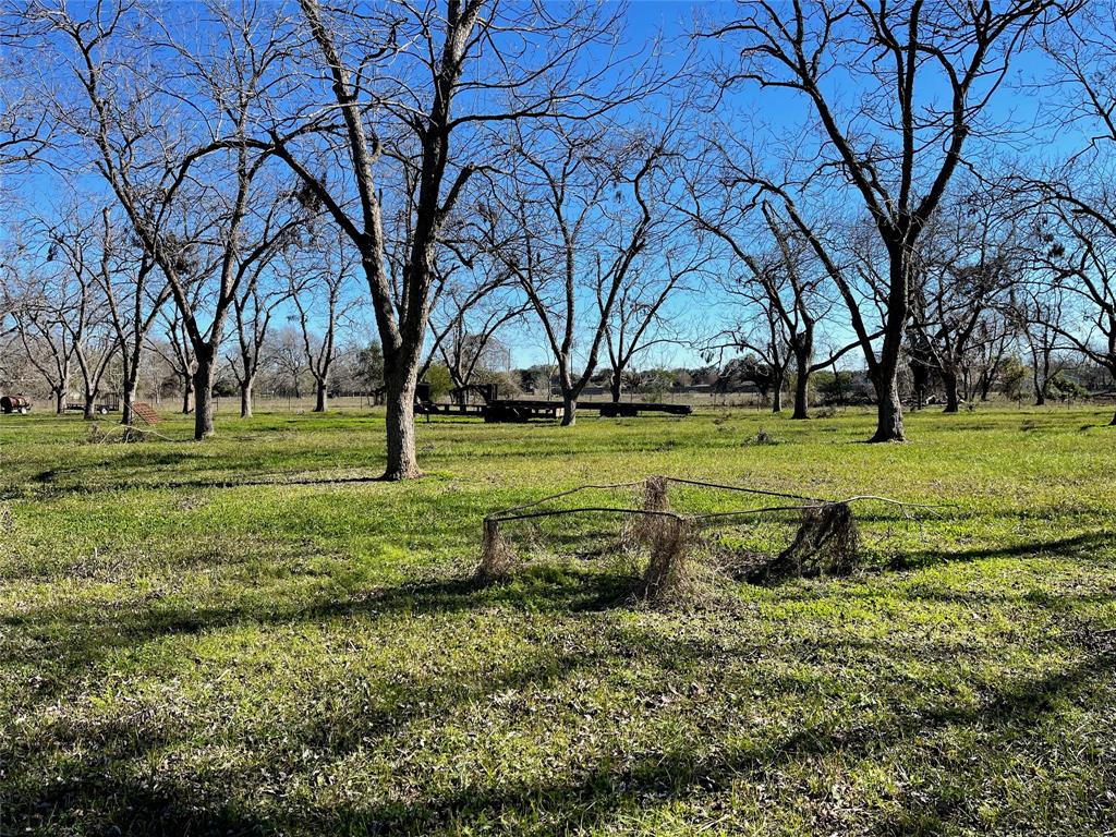 3407 E Skinner Lane, Richmond, Texas image 17