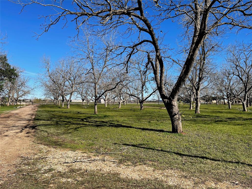 3407 E Skinner Lane, Richmond, Texas image 7