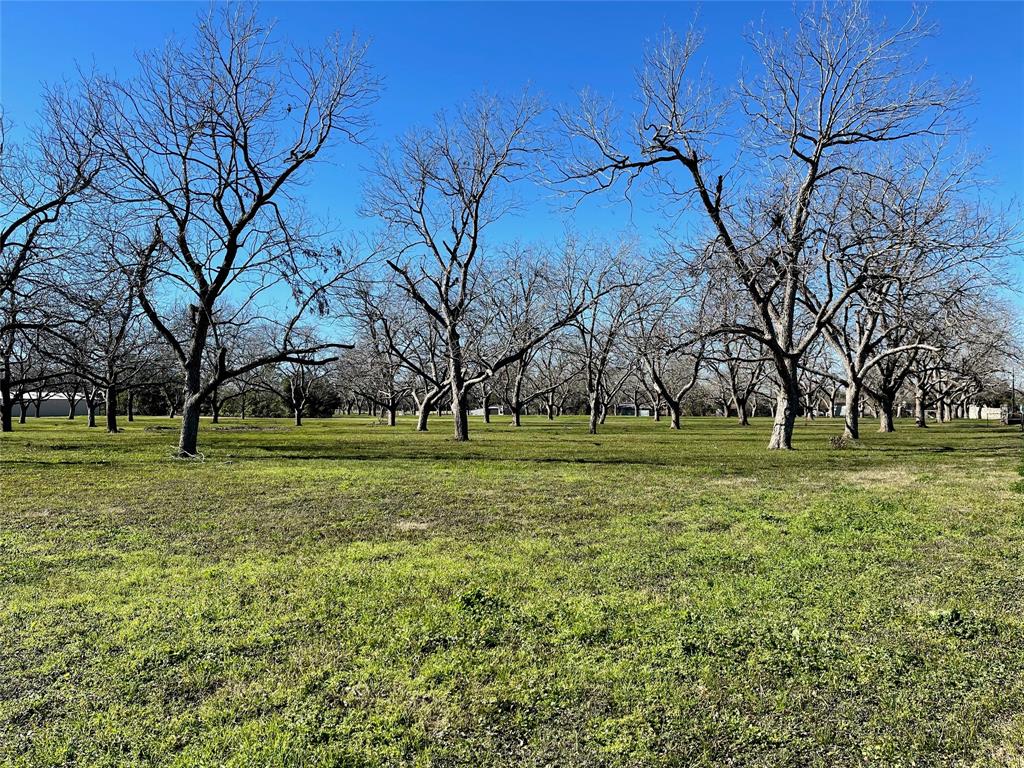 3407 E Skinner Lane, Richmond, Texas image 1