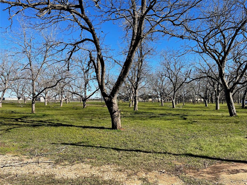 3407 E Skinner Lane, Richmond, Texas image 8