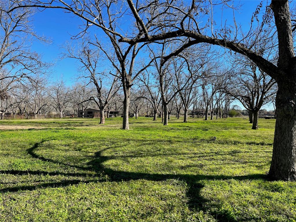 3407 E Skinner Lane, Richmond, Texas image 14