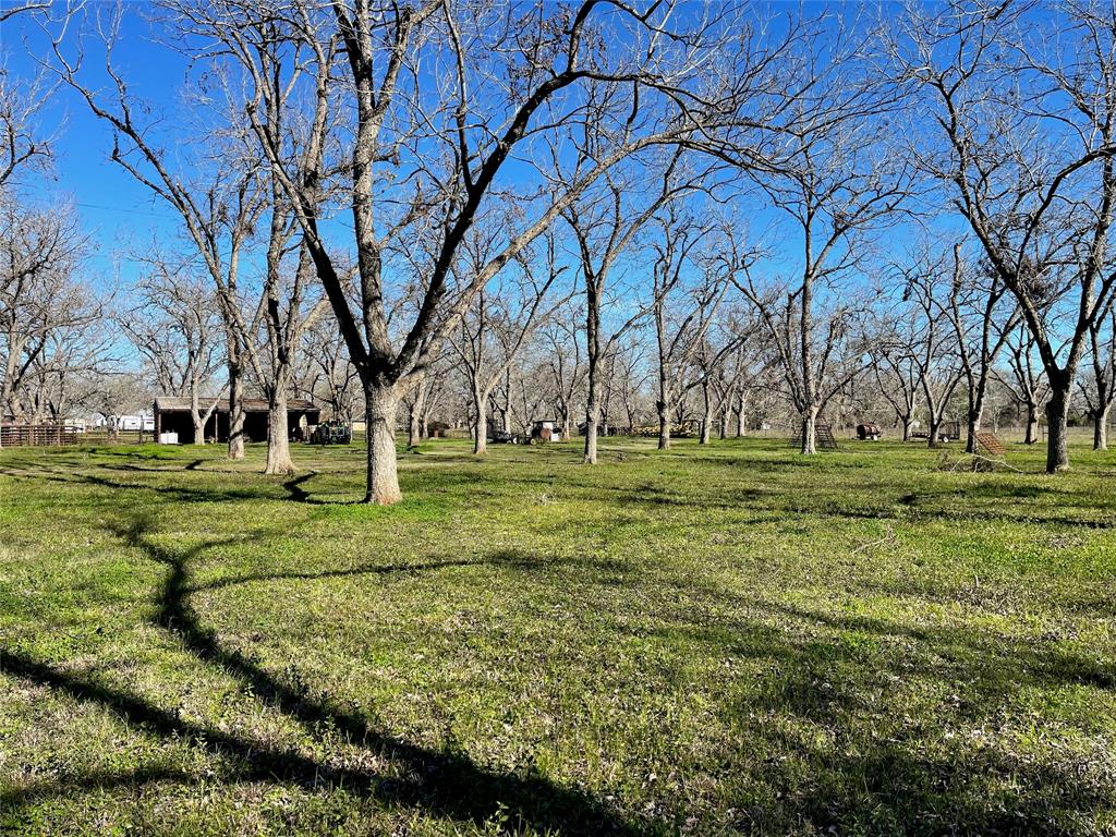 3407 E Skinner Lane, Richmond, Texas image 16