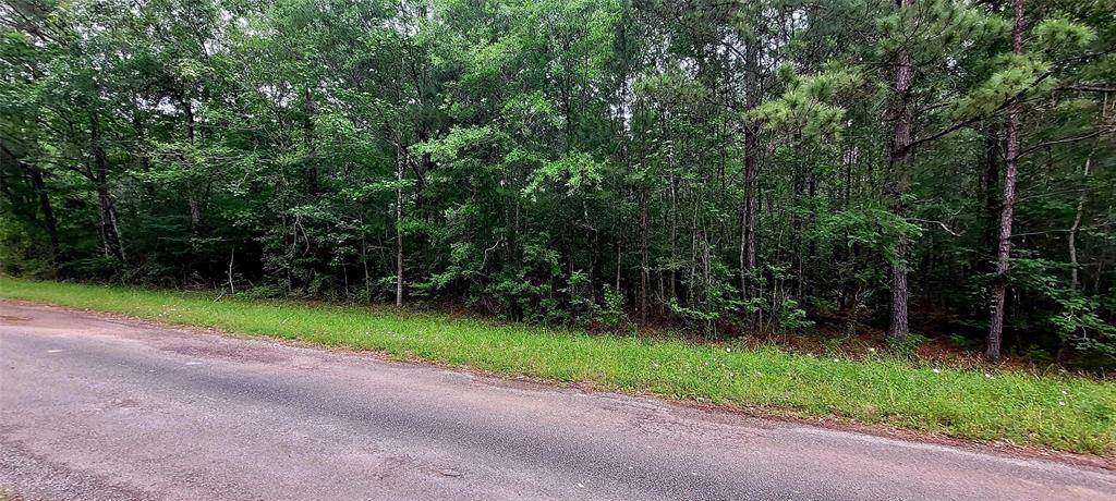 TBD Cr 349, Cleveland, Texas image 2