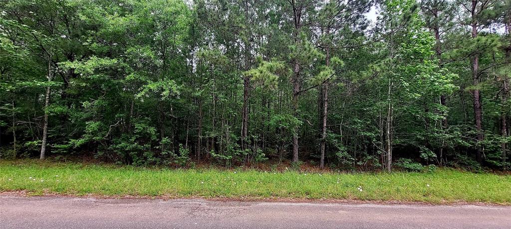 TBD Cr 349, Cleveland, Texas image 1
