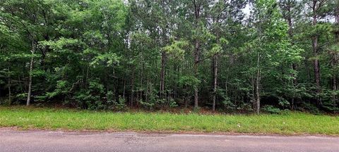 Photo of TBD Cr 349, Cleveland, TX 77327 (MLS # 16680863)