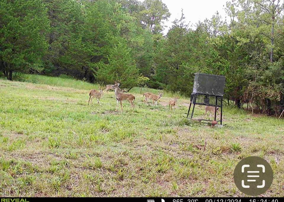 1068 County Road 3200, Colmesneil, Texas image 49