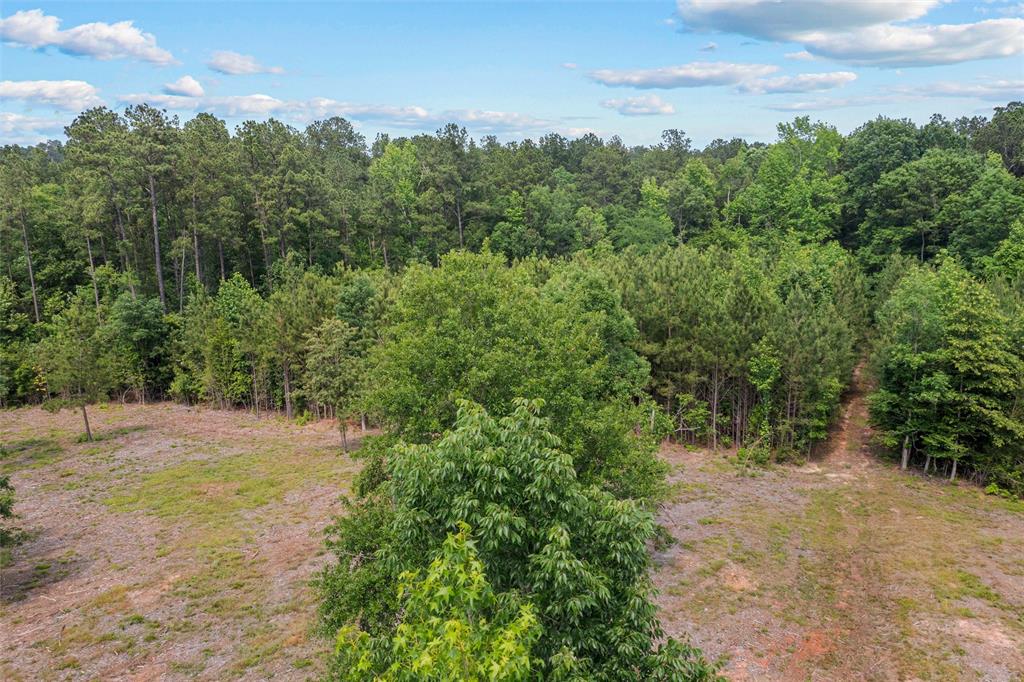 1068 County Road 3200, Colmesneil, Texas image 9