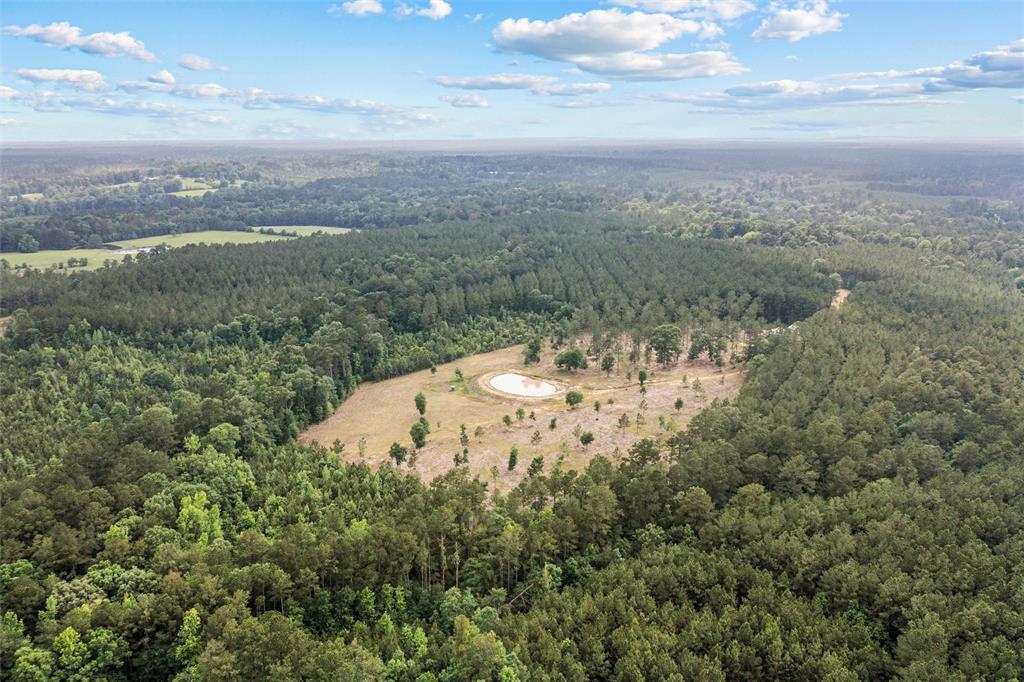 1068 County Road 3200, Colmesneil, Texas image 4