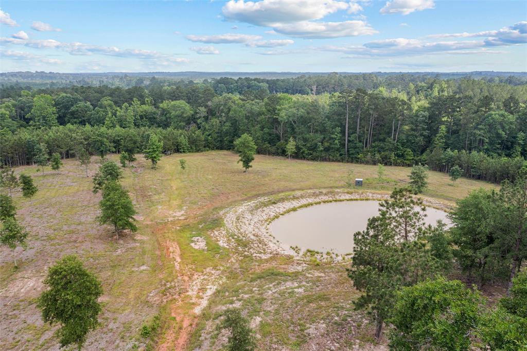 1068 County Road 3200, Colmesneil, Texas image 7