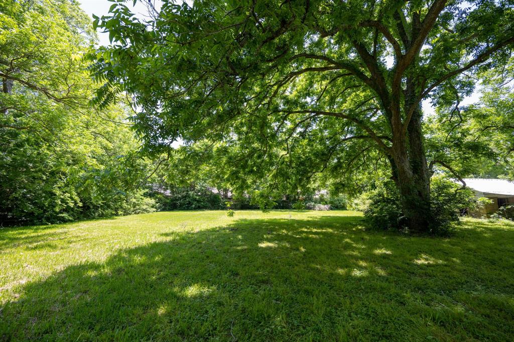 3206 Broken Bough Dr, Missouri City, Texas image 13