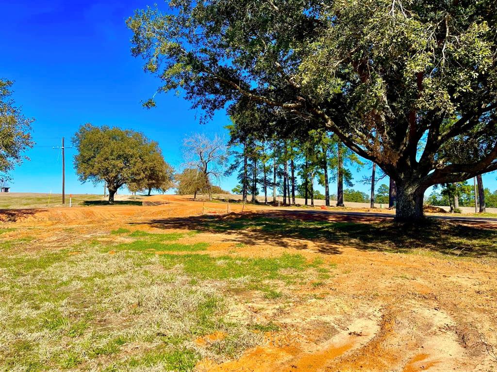 TBD Lakeland Ranch Lot 104, Hillister, Texas image 2