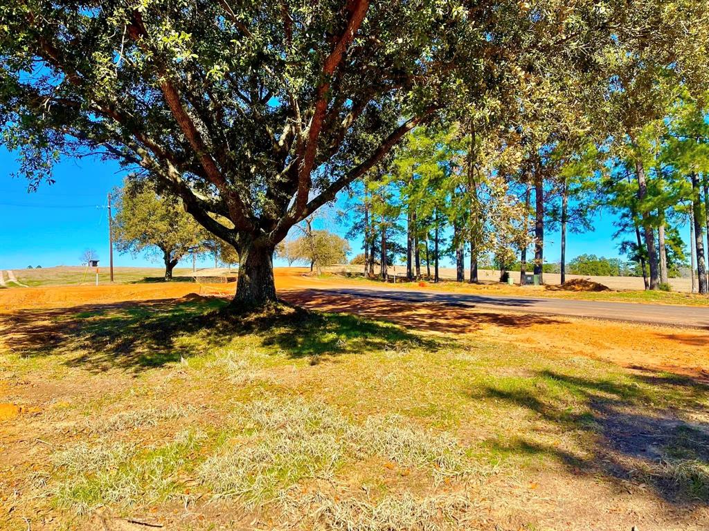 TBD Lakeland Ranch Lot 104, Hillister, Texas image 7