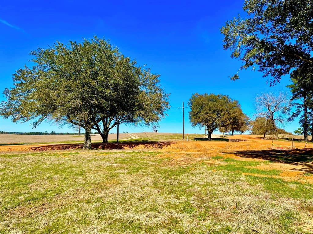 TBD Lakeland Ranch Lot 104, Hillister, Texas image 3