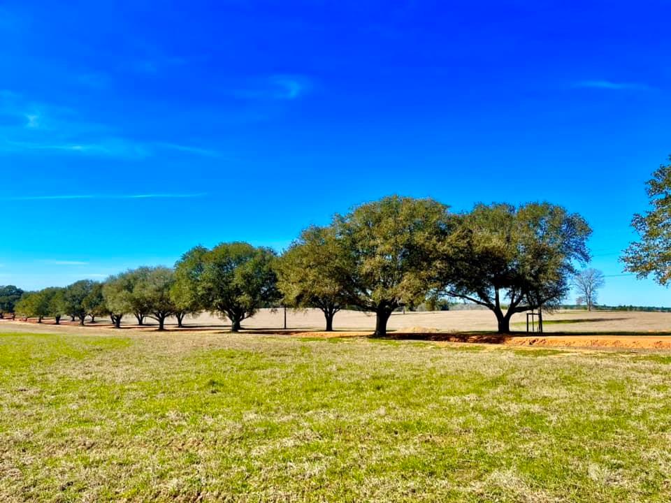 TBD Lakeland Ranch Lot 104, Hillister, Texas image 4