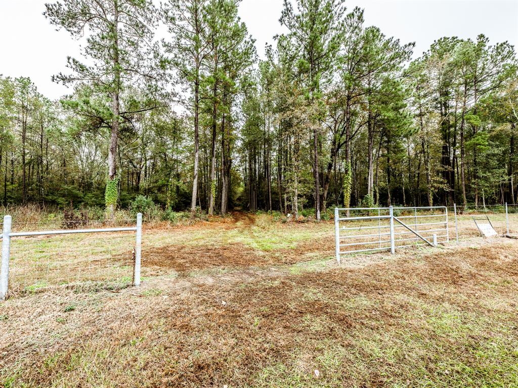 Jones Road, New Waverly, Texas image 6