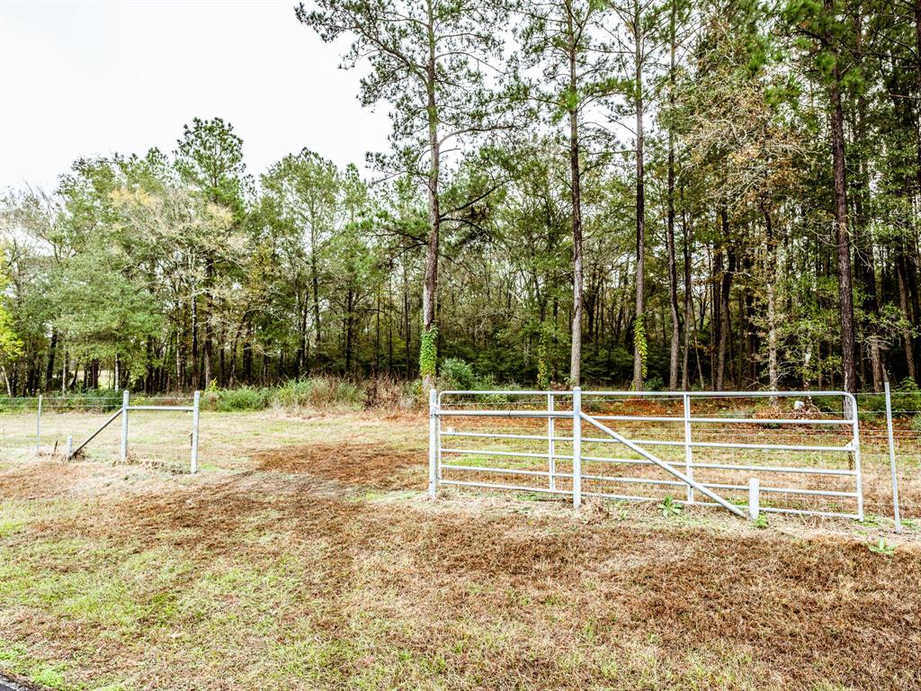 Jones Road, New Waverly, Texas image 5